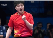 爱游戏在线-法国队逆转德国队，樊振东关键制胜