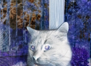 爱游戏体育-独行侠对阵篮网，爱德华兹如何成为决定比赛走向的胜负手