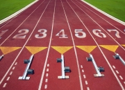 爱游戏娱乐-当坚韧遇上智慧，德国队完胜日本队，许昕关键制胜背后的战术革命