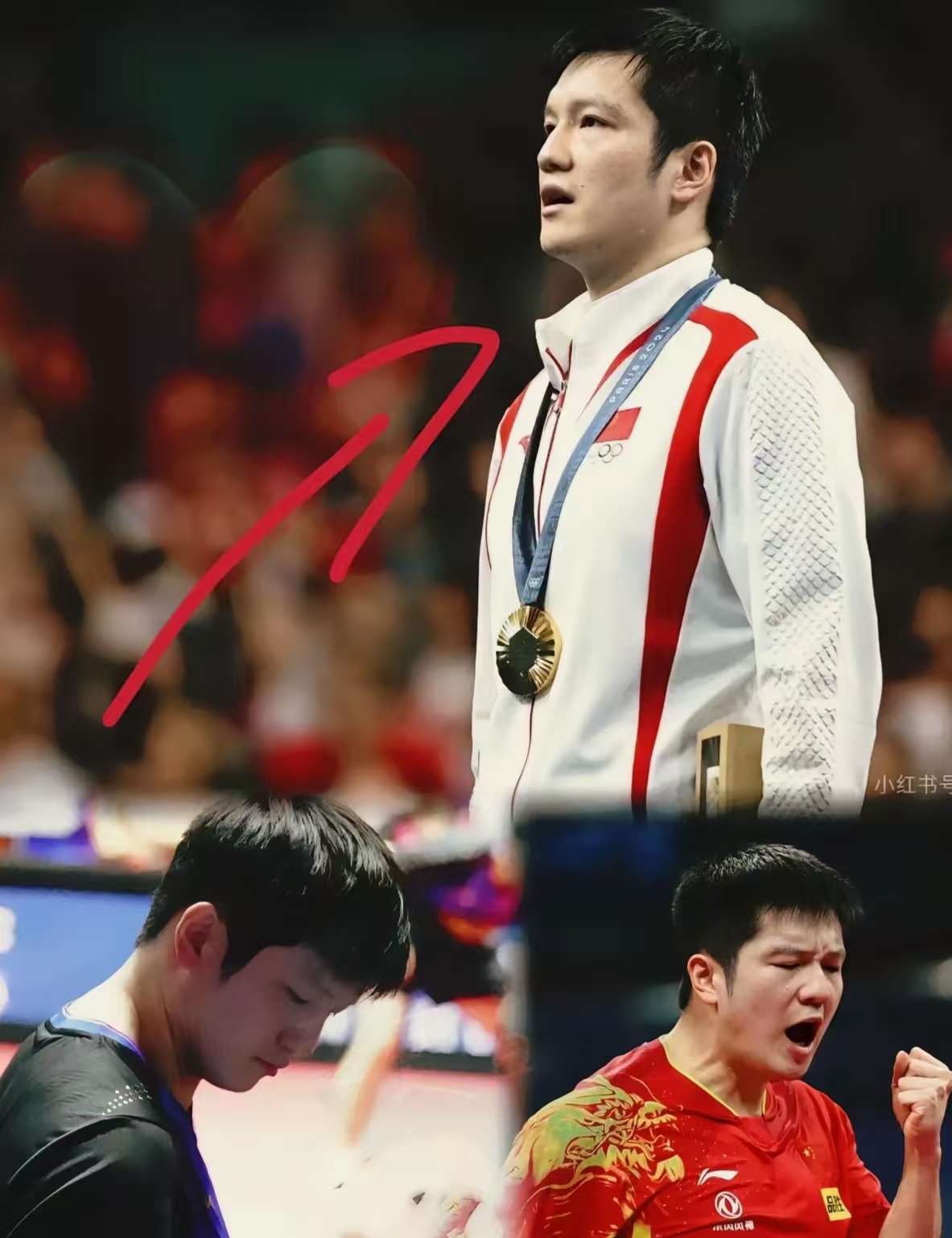 葡萄牙队完胜中国队，樊振东高光表现