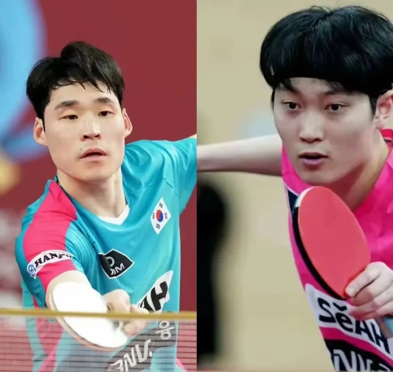 韩国队险胜波兰队，林高远惊艳四座